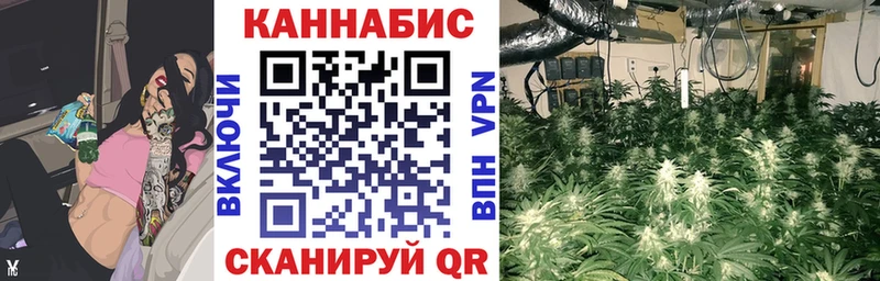 Марихуана марихуана  где найти   Крым 
